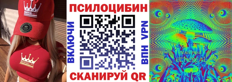 Псилоцибиновые грибы Psilocybine cubensis  цена наркотик  Владимир 