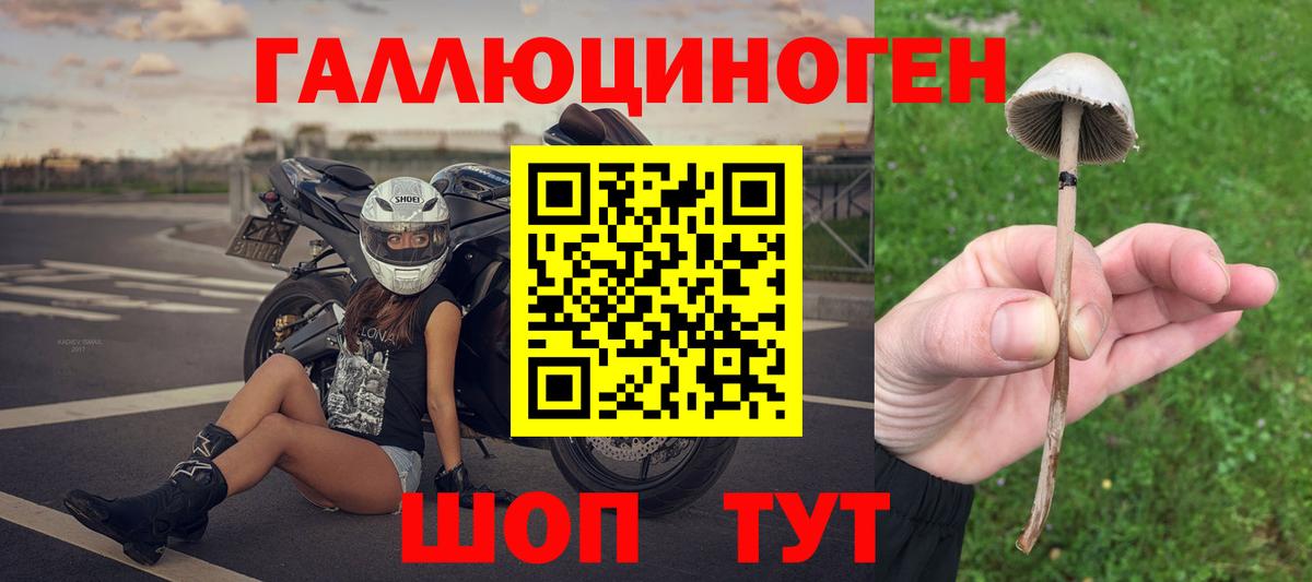 Владимир  Галлюциногенные грибы мицелий  Вход с VPN 
